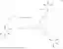Fig. 80 - MULTIVALENT CARGO-CARRYING COMPLEXES AND USES THEREOF