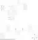 Fig. 85 - MULTIVALENT CARGO-CARRYING COMPLEXES AND USES THEREOF
