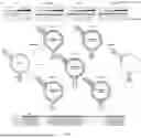 Fig. 09 - DNAZYME AND USE THEREOF