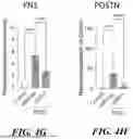 Fig. 22 - COMPOSITIONS AND METHODS OF MODULATING LONG NONCODING TRANSCRIPTS ASSOCIATED WITH ARDS INDUCED PULMONARY FIBROSIS