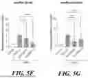 Fig. 45 - COMPOSITIONS AND METHODS OF MODULATING LONG NONCODING TRANSCRIPTS ASSOCIATED WITH ARDS INDUCED PULMONARY FIBROSIS