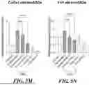 Fig. 49 - COMPOSITIONS AND METHODS OF MODULATING LONG NONCODING TRANSCRIPTS ASSOCIATED WITH ARDS INDUCED PULMONARY FIBROSIS