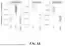 Fig. 71 - COMPOSITIONS AND METHODS OF MODULATING LONG NONCODING TRANSCRIPTS ASSOCIATED WITH ARDS INDUCED PULMONARY FIBROSIS