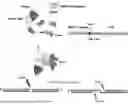 Fig. 01 - Gene Targeting