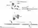 Fig. 02 - Gene Targeting