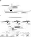 Fig. 01 - A SYNTHETIC GENE EXPRESSION REGULATOR AND A PROCESS FOR PRODUCING HYBRID CROPS USING THEREOF