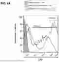 Fig. 07 - ADENO-ASSOCIATED VIRUS WITH ENGINEERED CAPSID