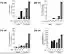 Fig. 08 - ADENO-ASSOCIATED VIRUS WITH ENGINEERED CAPSID
