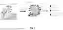 Fig. 02 - VIRAL PARTICLE WITH SURFACE STIMULATING MOLECULES