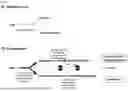Fig. 02 - METABOLICALLY ENGINEERED ORGANISMS FOR THE PRODUCTION OF ADDED VALUE BIO-PRODUCTS