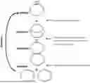 Fig. 01 - Method for Replicating or Amplifying Circular DNA