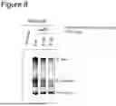 Fig. 08 - Method for Replicating or Amplifying Circular DNA