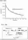 Fig. 43 - BIOPHYSICAL PLATFORM FOR DRUG DEVELOPMENT BASED ON ENERGY LANDSCAPE