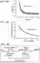 Fig. 47 - BIOPHYSICAL PLATFORM FOR DRUG DEVELOPMENT BASED ON ENERGY LANDSCAPE
