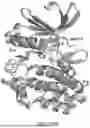 Fig. 49 - BIOPHYSICAL PLATFORM FOR DRUG DEVELOPMENT BASED ON ENERGY LANDSCAPE