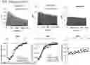 Fig. 90 - BIOPHYSICAL PLATFORM FOR DRUG DEVELOPMENT BASED ON ENERGY LANDSCAPE