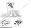 Fig. 01 - SUPRAMOLECULAR ENCAPSULATED DNA/RNA PARTICLES