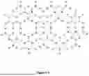 Fig. 02 - SUPRAMOLECULAR ENCAPSULATED DNA/RNA PARTICLES