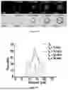 Fig. 06 - SUPRAMOLECULAR ENCAPSULATED DNA/RNA PARTICLES