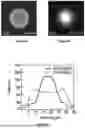 Fig. 08 - SUPRAMOLECULAR ENCAPSULATED DNA/RNA PARTICLES