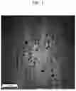 Fig. 02 - GRAIN ORIENTED ELECTRICAL STEEL SHEET AND MANUFACTURING METHOD OF SAME