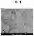 Fig. 02 - YTTRIUM FLUORIDE SPRAYED COATING, SPRAY MATERIAL THEREFOR, AND CORROSION RESISTANT COATING INCLUDING SPRAYED COATING