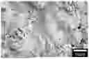 Fig. 01 - SURFACE TREATMENT METHOD FOR CERAMIC THERMAL SPRAY COATING, AND CERAMIC THERMAL SPRAY COATING
