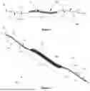 Fig. 02 - INTERNAL SURFACE ELECTROCHEMICAL TREATMENT ELECTRODE