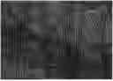 Fig. 01 - Cellulosic textile fibre