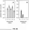 Fig. 04 - ACID-FREE SOLUTION PROCESS FOR STRUCTURALLY INTACT CARBON FIBER PAPER WITH LONG-LASTING HYDROPHILICITY