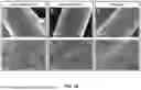Fig. 19 - ACID-FREE SOLUTION PROCESS FOR STRUCTURALLY INTACT CARBON FIBER PAPER WITH LONG-LASTING HYDROPHILICITY