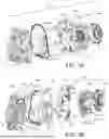 Fig. 02 - SCROLL DEVICE WITH PARALLEL PATH COOLING