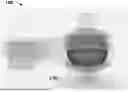 Fig. 01 - JOINT ASSEMBLY