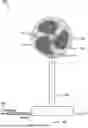 Fig. 01 - Rotary Mister