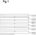 Fig. 02 - METHOD AND SYSTEM FOR ANALYSING A BIOLOGICAL SAMPLE
