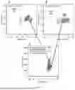 Fig. 08 - BLOOD CELL ANALYZER FOR DETECTING ARCHAEOCYTE AND DETECTION METHOD