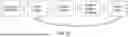 Fig. 45 - DETERMINATION OF PROTEIN INFORMATION BY RECODING AMINO ACID POLYMERS INTO DNA POLYMERS