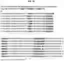 Fig. 02 - CD28 BINDING ANTIBODIES AND ANTIGEN BINDING FRAGMENTS THEREOF