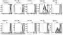 Fig. 08 - CD28 BINDING ANTIBODIES AND ANTIGEN BINDING FRAGMENTS THEREOF