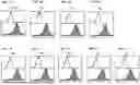Fig. 09 - CD28 BINDING ANTIBODIES AND ANTIGEN BINDING FRAGMENTS THEREOF