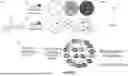 Fig. 09 - ENGINEERED PARTICLES AS RED BLOOD CELL MIMICS AND COMPOSITIONS CONTAINING SAME FOR HEMATOLOGY