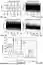 Fig. 06 - BUILDING OCCUPANCY ESTIMATION USING MICROWAVE DOPPLER RADAR AND TIME-FREQUENCY SPECTRAL ANALYSIS