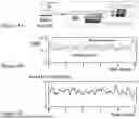 Fig. 07 - ON-CHIP INTERFEROMETRY SYSTEM FOR HIGH SECRET KEY RATE QUANTUM KEY DISTRIBUTION BASED ON ENTANGLED PHOTONIC QUDITS
