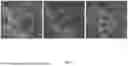 Fig. 12 - METHOD AND APPARATUS FOR RAPID DEPTH-SCANNING IN LASER IMAGING