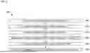 Fig. 06 - Integrated-Optics Waveguide Having High-Stress-Sensitivity Region