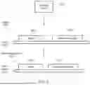 Fig. 06 - PCI FLOW CONTROL