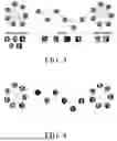 Fig. 03 - TREND DETECTION IN CLUSTERED PHOTOS FOR DIGITAL PICTURE FRAMES