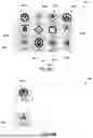 Fig. 09 - Graphically Encoded Icons Having Intrinsic Attributes Embedded Therein and Systems and Methods for Using Same
