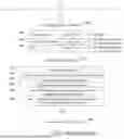 Fig. 09 - BUSINESS TO BUSINESS CREDIT FACILITY PROVISIONING AND PROCESSING SYSTEM AND METHOD WITH AUTOMATIC LIGHTWEIGHT MODULE AS A PAYMENT OPTION AT CHECKOUT
