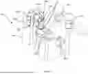 Fig. 11 - IMPROVEMENTS IN IMAGING DEVICES AND METHODS FOR MULTIPLE IMAGE ACQUISITION